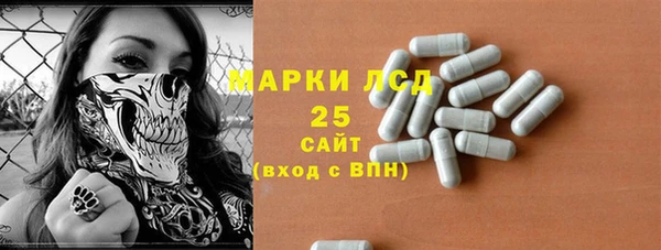 гидра Горно-Алтайск