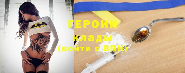 гидра Горно-Алтайск
