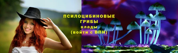 гидра Горно-Алтайск