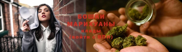 2c-b Горнозаводск