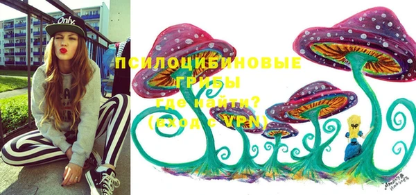 гидра Горно-Алтайск