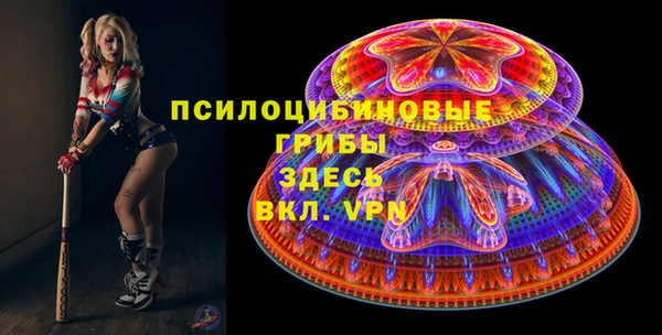 дмт Медногорск