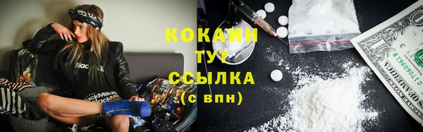 2c-b Горнозаводск