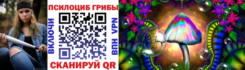 Псилоцибиновые грибы мицелий  Очёр 